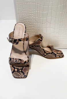 Shoes & Acces ZO26