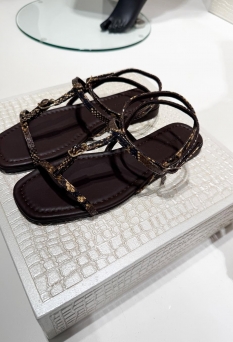 Shoes & Acces ZO26
